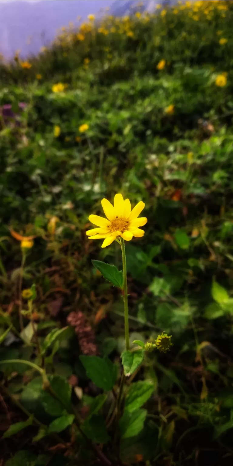 Photo of Lonavala By jb_bapi
