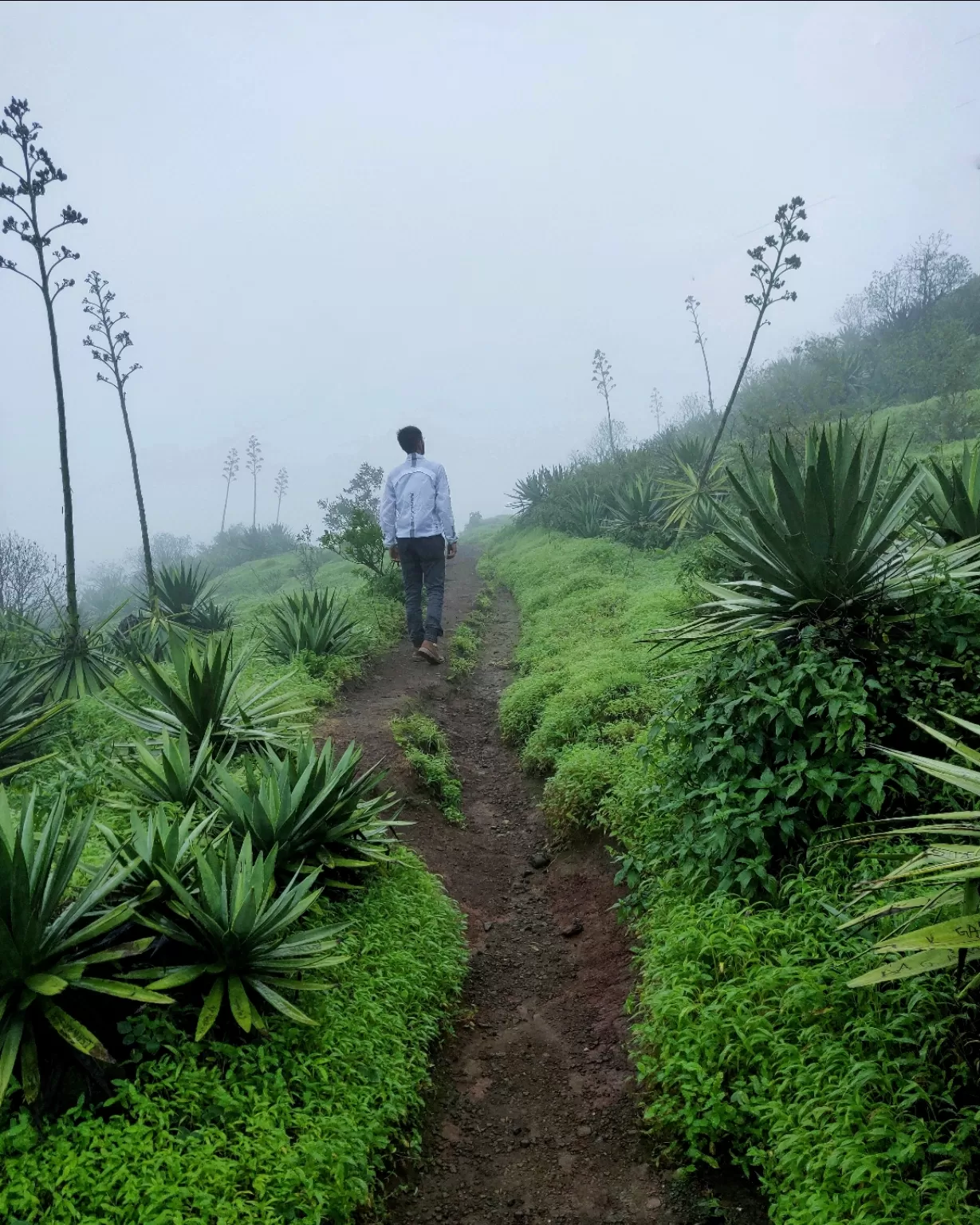 Photo of Lavasa By Sandesh Kharche