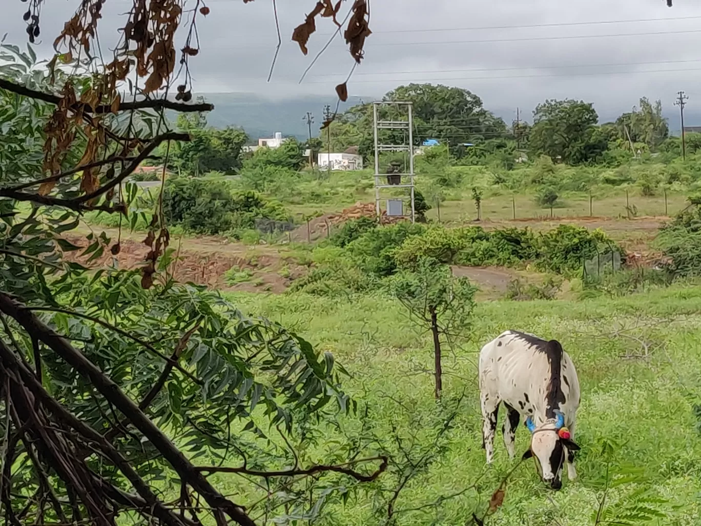 Photo of Ghoti - Shirdi Rd By Roop Samnani