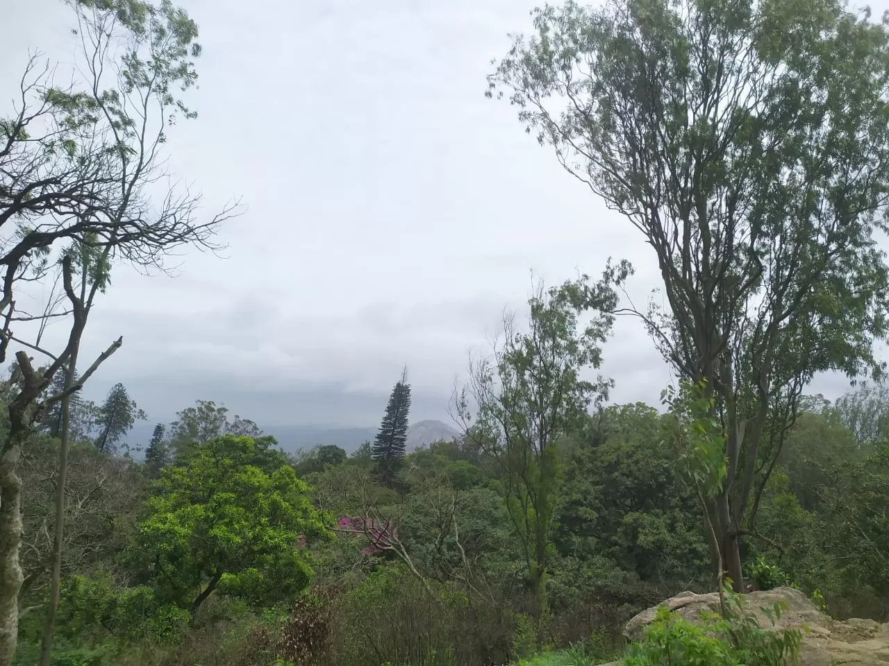 Photo of Nandi Hills By Poonam Talukdar