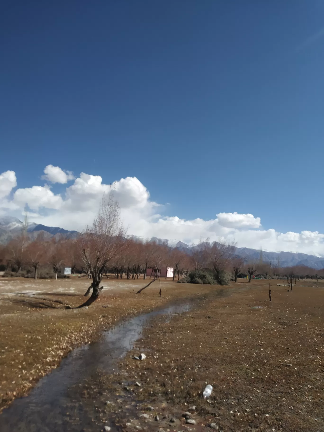 Photo of Stakna - Hemis Road By jigmet tsewang