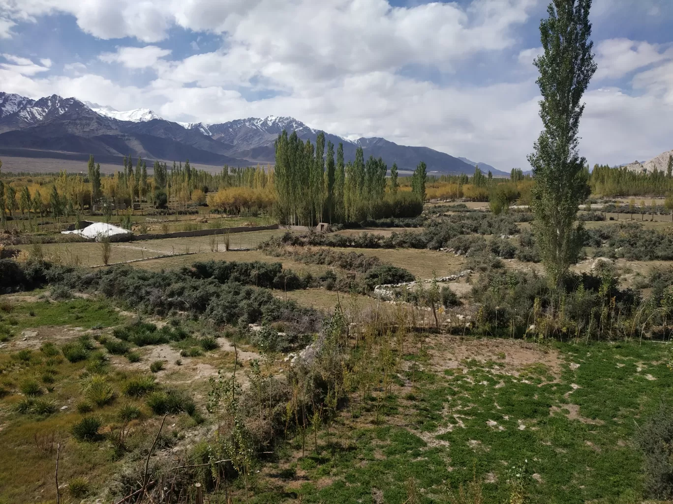 Photo of Stakna - Hemis Road By jigmet tsewang
