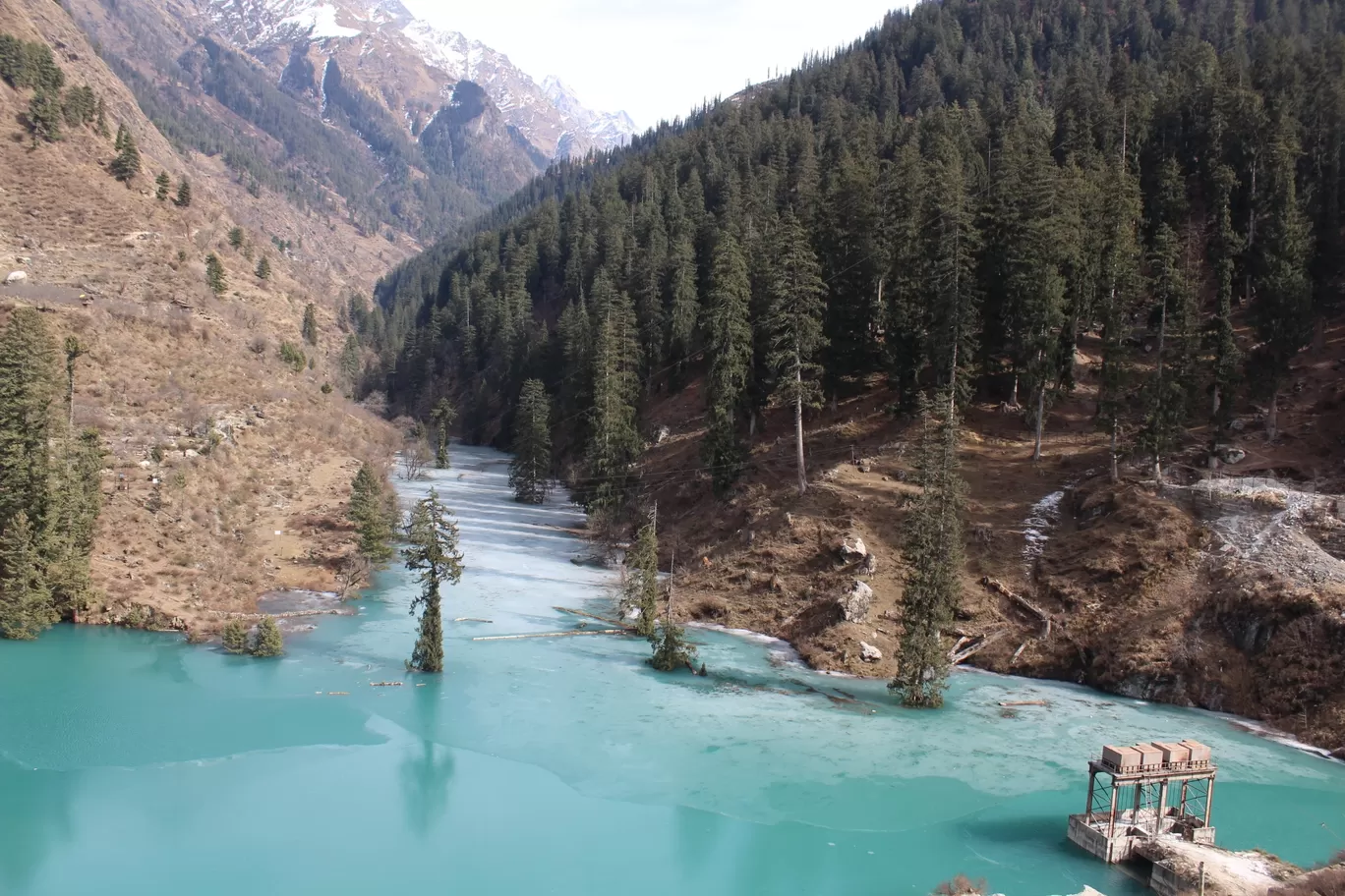 Photo of Tosh By jigmet tsewang