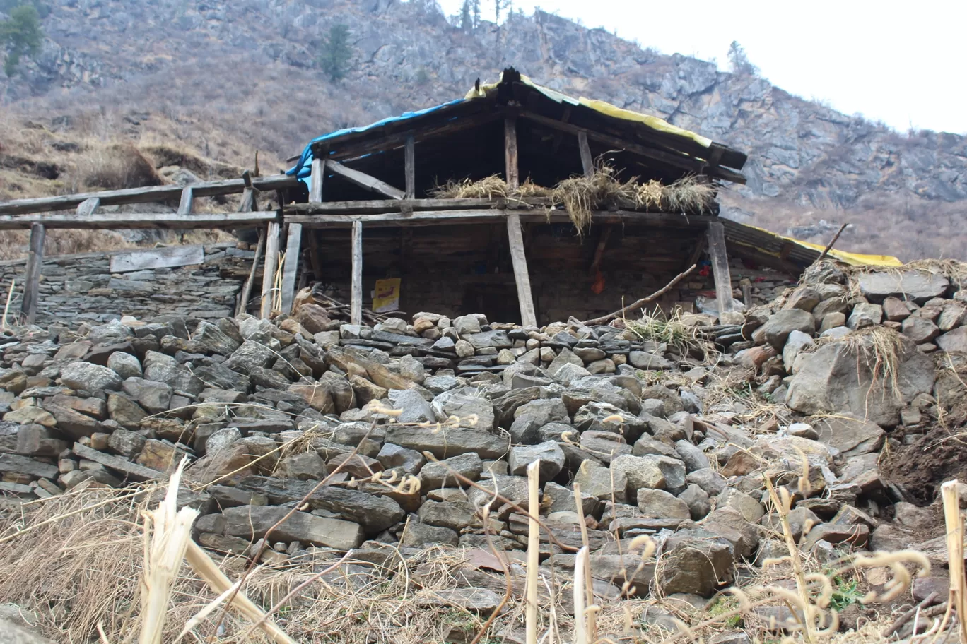 Photo of Tosh By jigmet tsewang