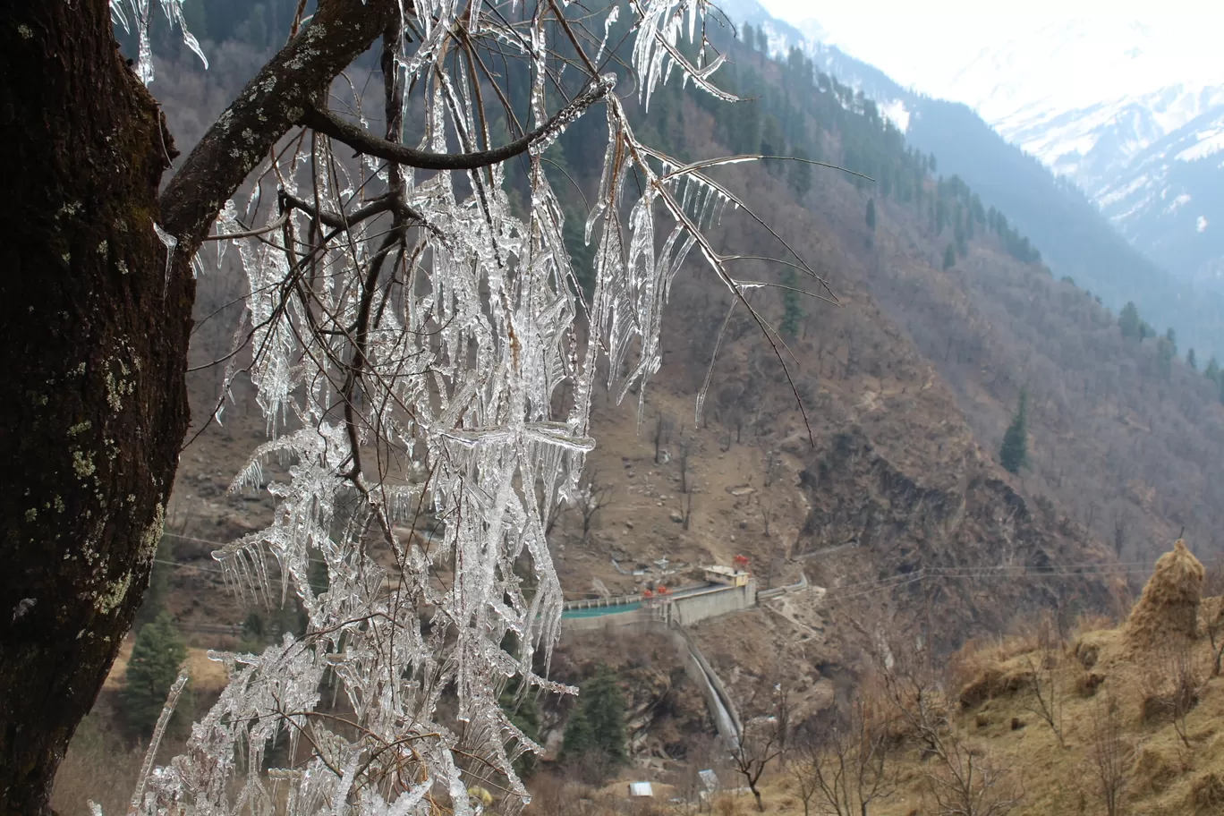 Photo of Tosh By jigmet tsewang