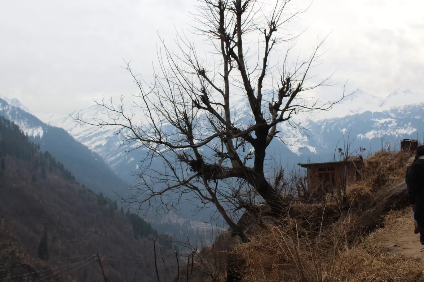 Photo of Tosh By jigmet tsewang