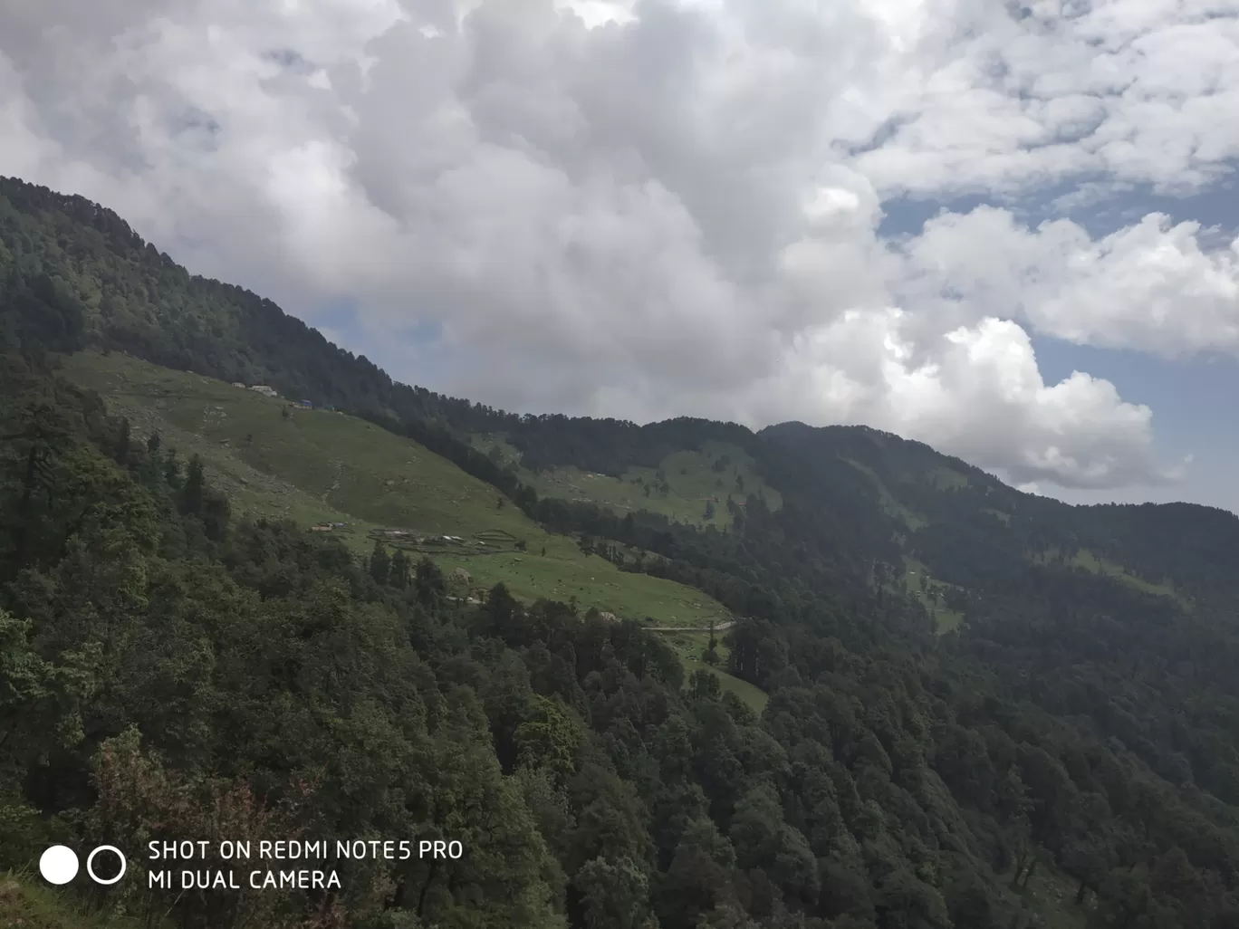 Photo of Chopta Tungnath Chandrashila Trekking By Ankit Tyagi