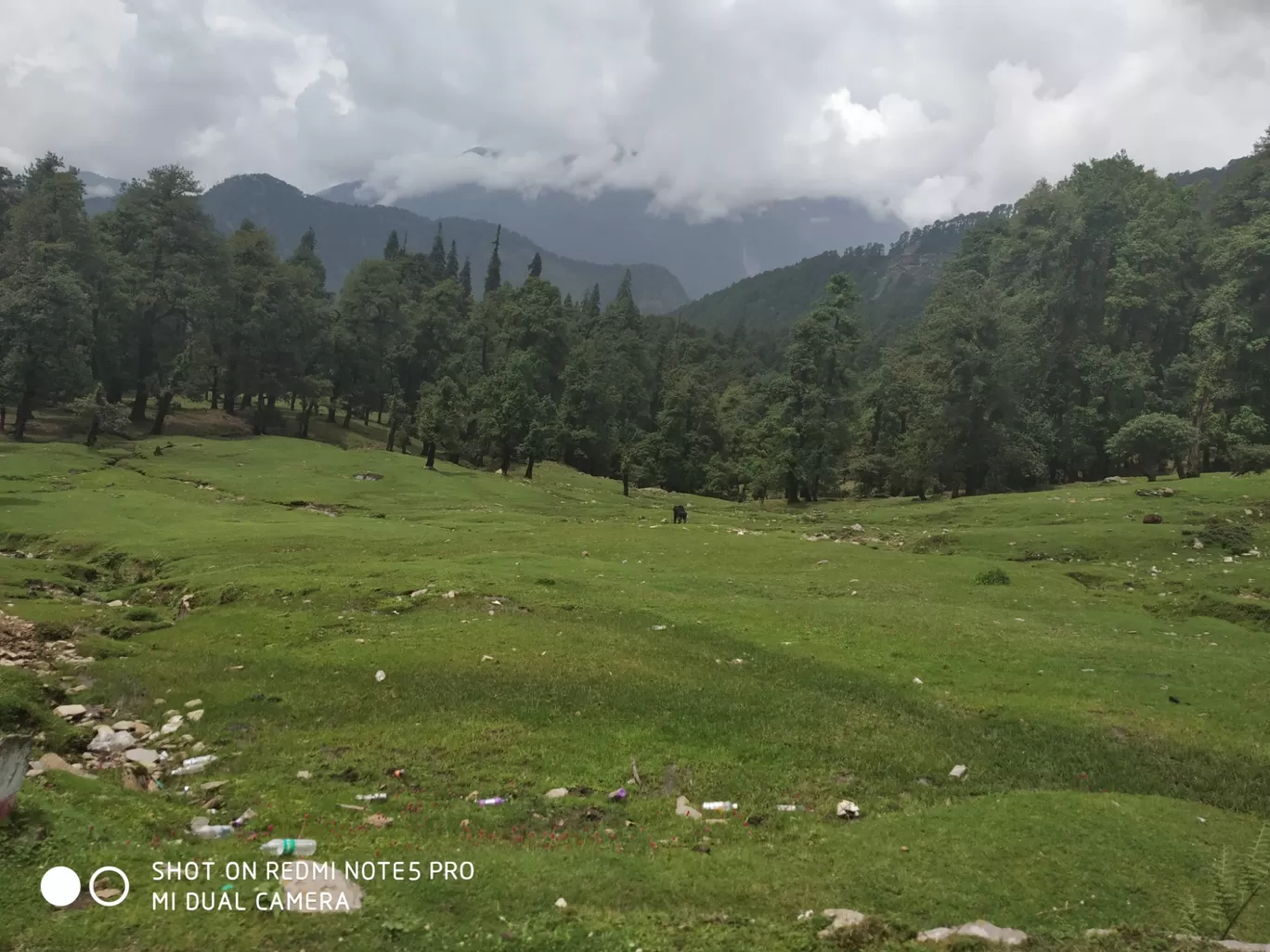 Photo of Chopta Tungnath Chandrashila Trekking By Ankit Tyagi