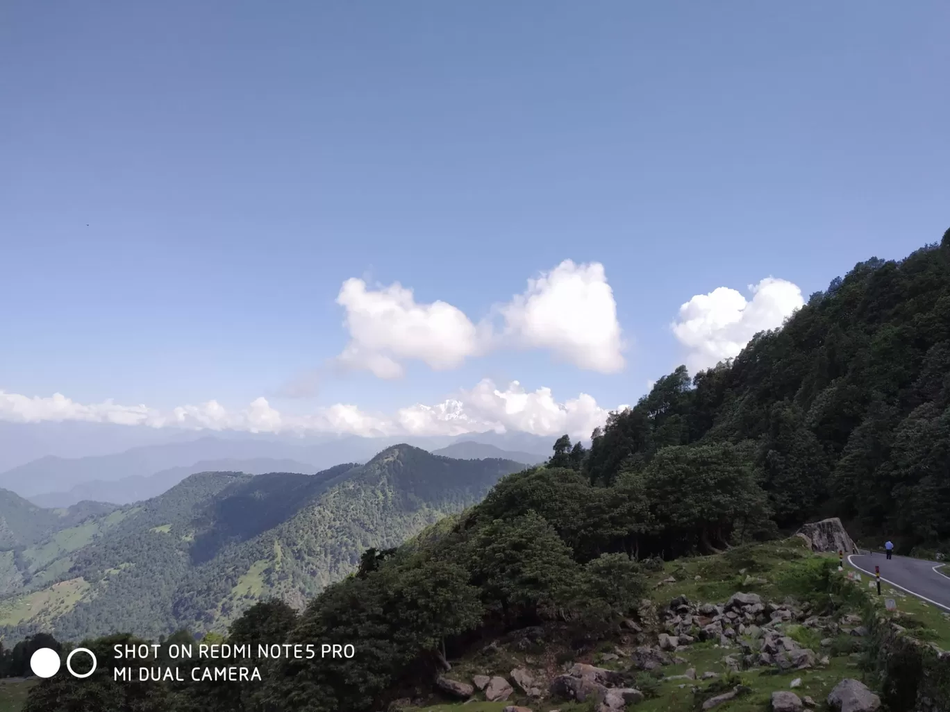 Photo of Chopta Tungnath Chandrashila Trekking By Ankit Tyagi