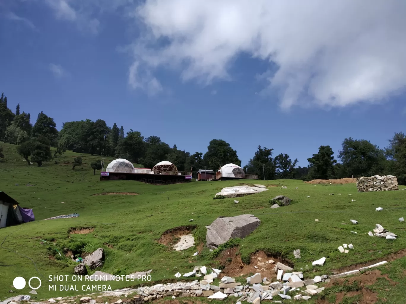 Photo of Chopta Tungnath Chandrashila Trekking By Ankit Tyagi