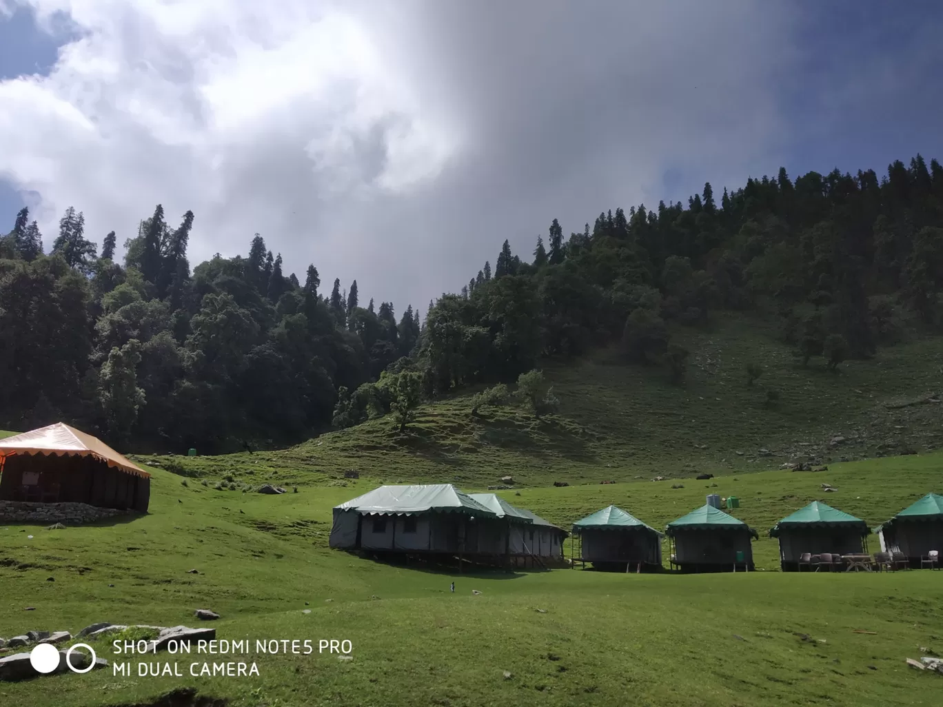 Photo of Chopta Tungnath Chandrashila Trekking By Ankit Tyagi
