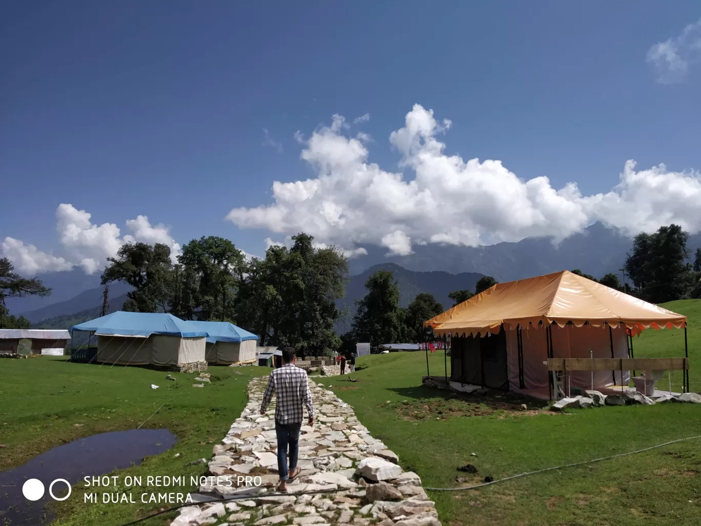 Photo of Chopta Tungnath Chandrashila Trekking By Ankit Tyagi