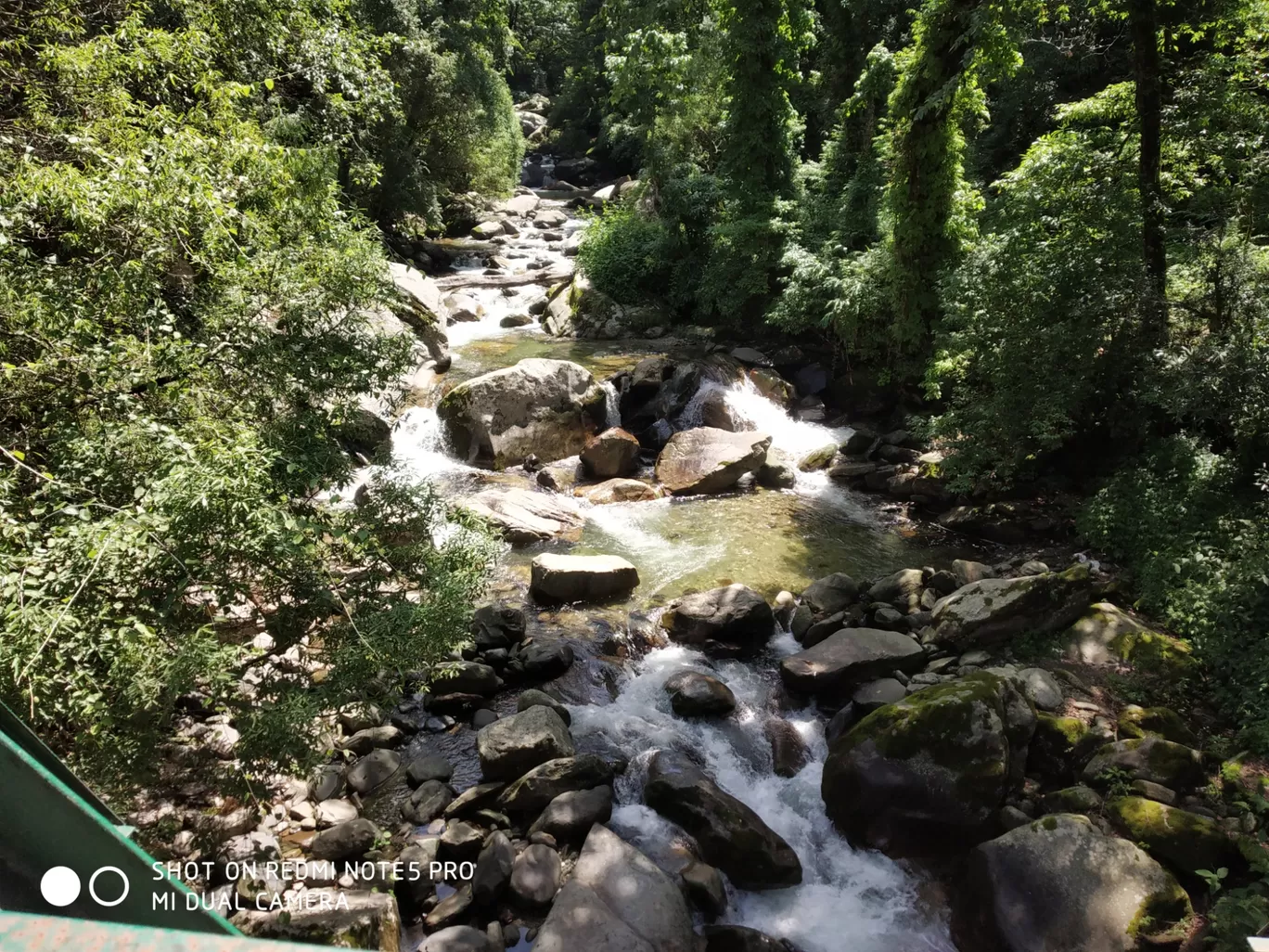 Photo of Chopta Tungnath Chandrashila Trekking By Ankit Tyagi