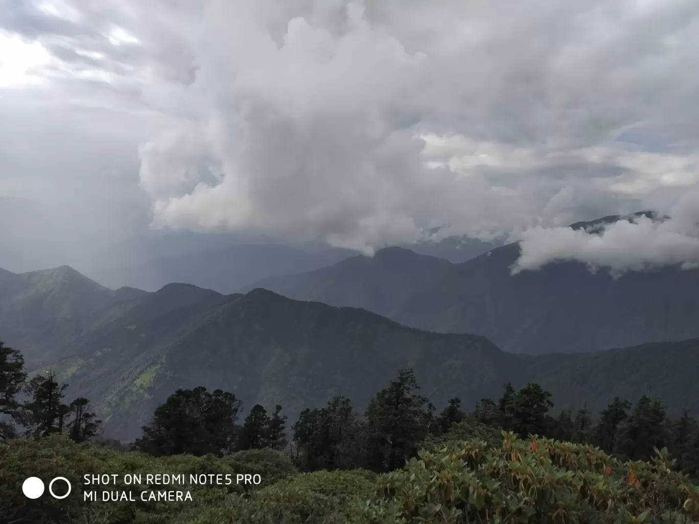 Photo of Chopta Tungnath Chandrashila Trekking By Ankit Tyagi