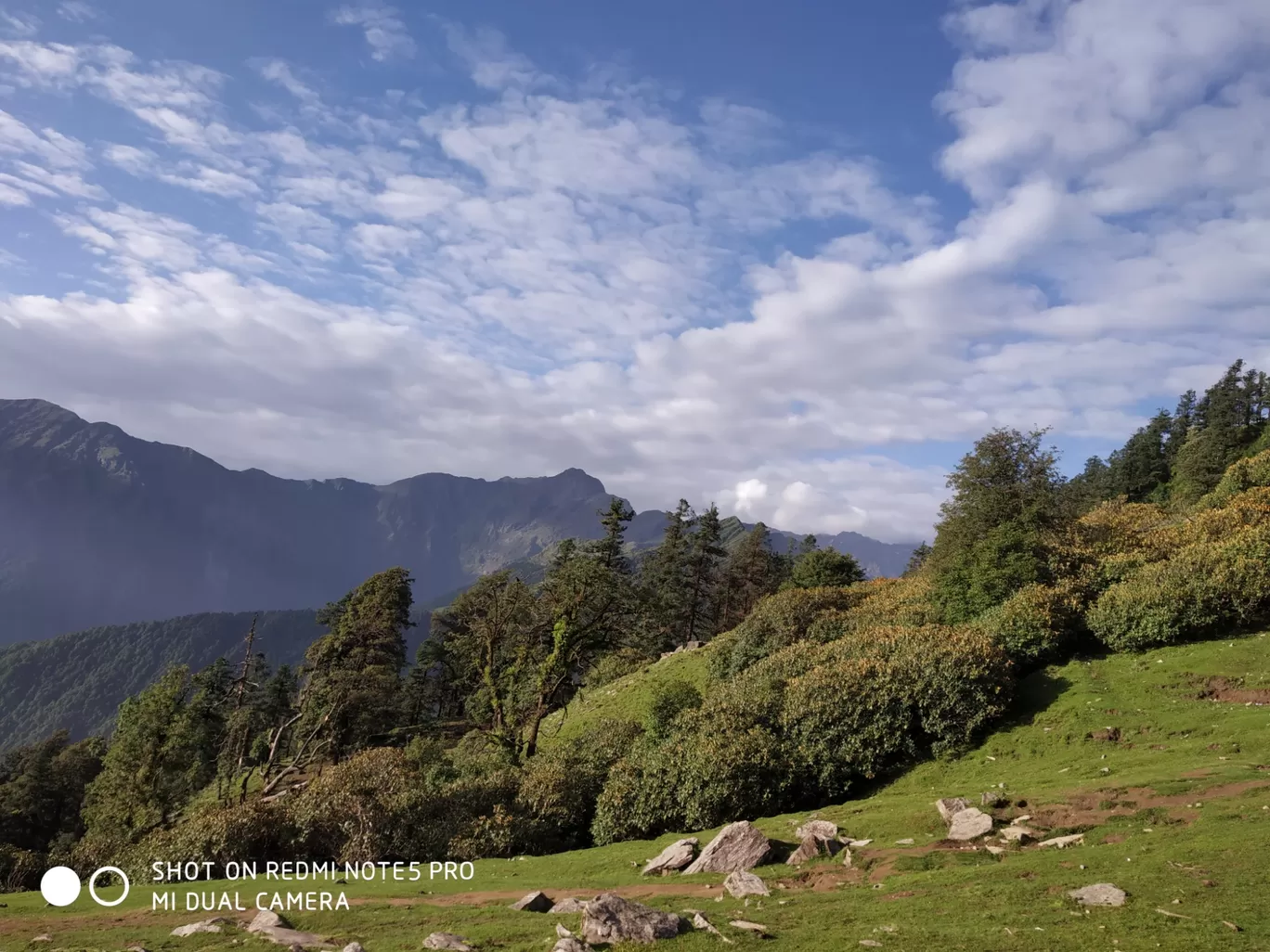 Photo of Chopta Tungnath Chandrashila Trekking By Ankit Tyagi