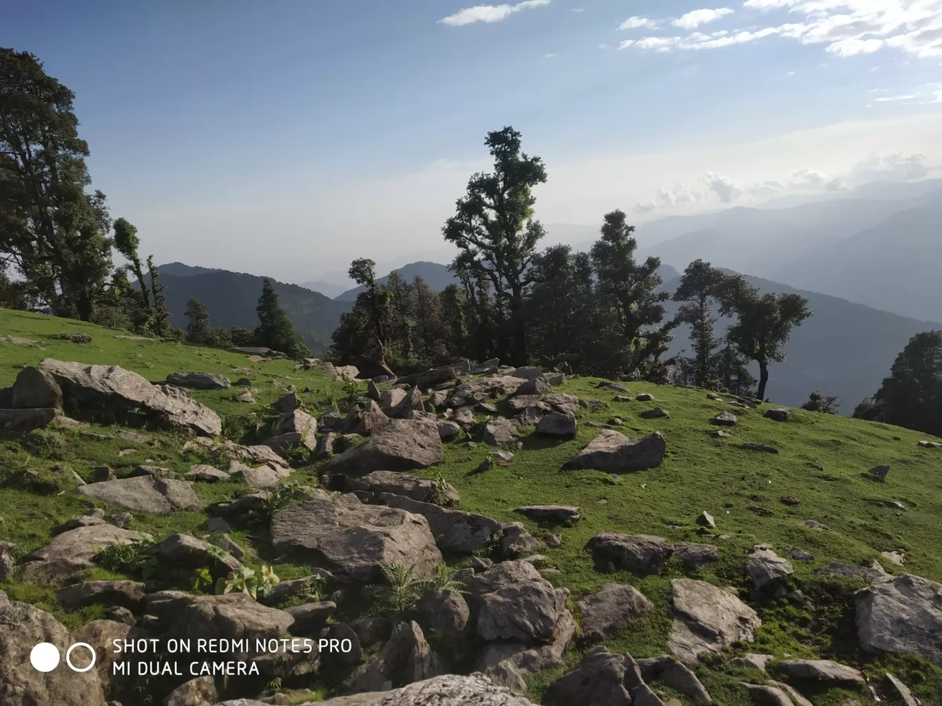 Photo of Chopta Tungnath Chandrashila Trekking By Ankit Tyagi