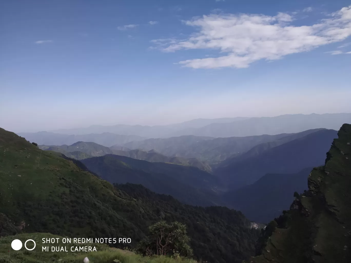 Photo of Chopta Tungnath Chandrashila Trekking By Ankit Tyagi