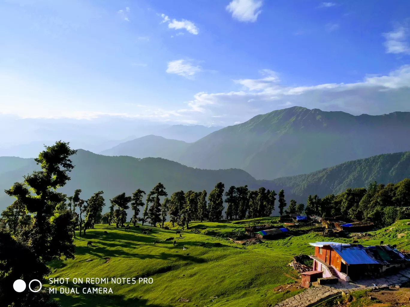 Photo of Chopta Tungnath Chandrashila Trekking By Ankit Tyagi