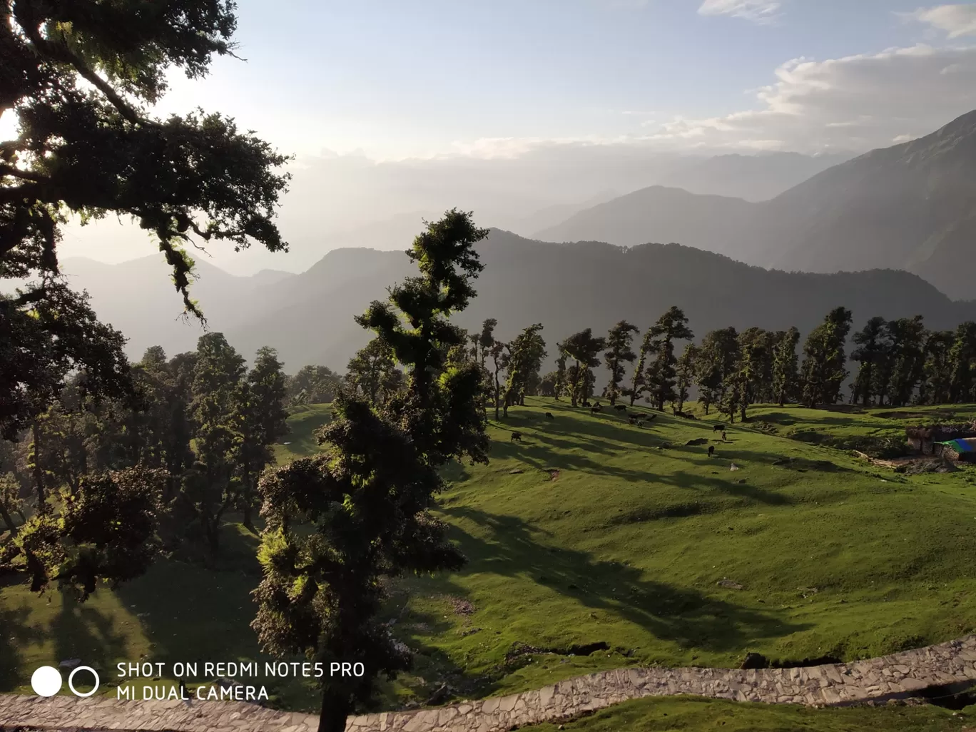 Photo of Chopta Tungnath Chandrashila Trekking By Ankit Tyagi