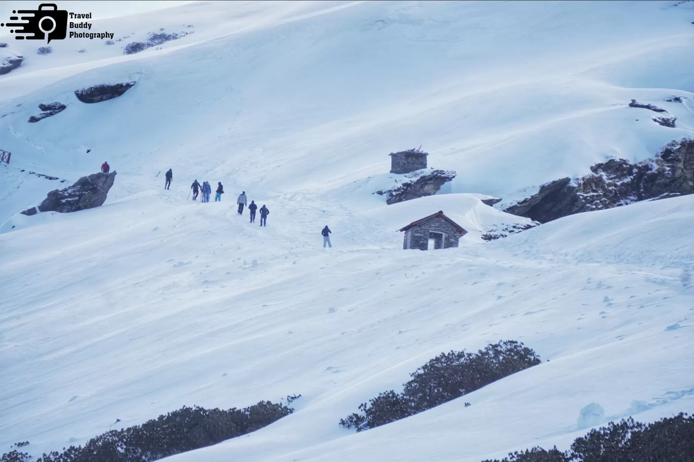 Photo of Chopta Valley By Ankit Tyagi