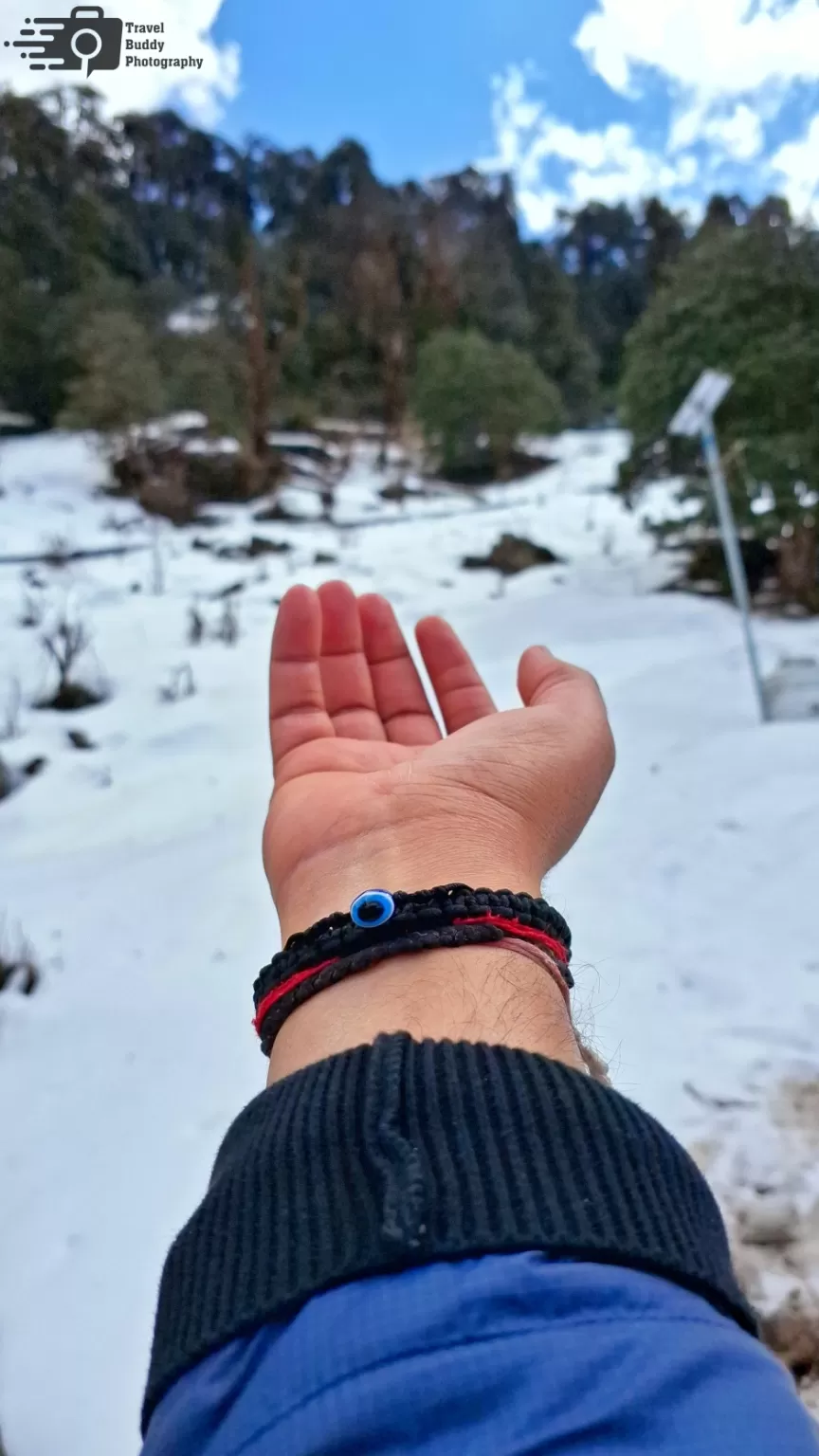 Photo of Chopta Valley By Ankit Tyagi