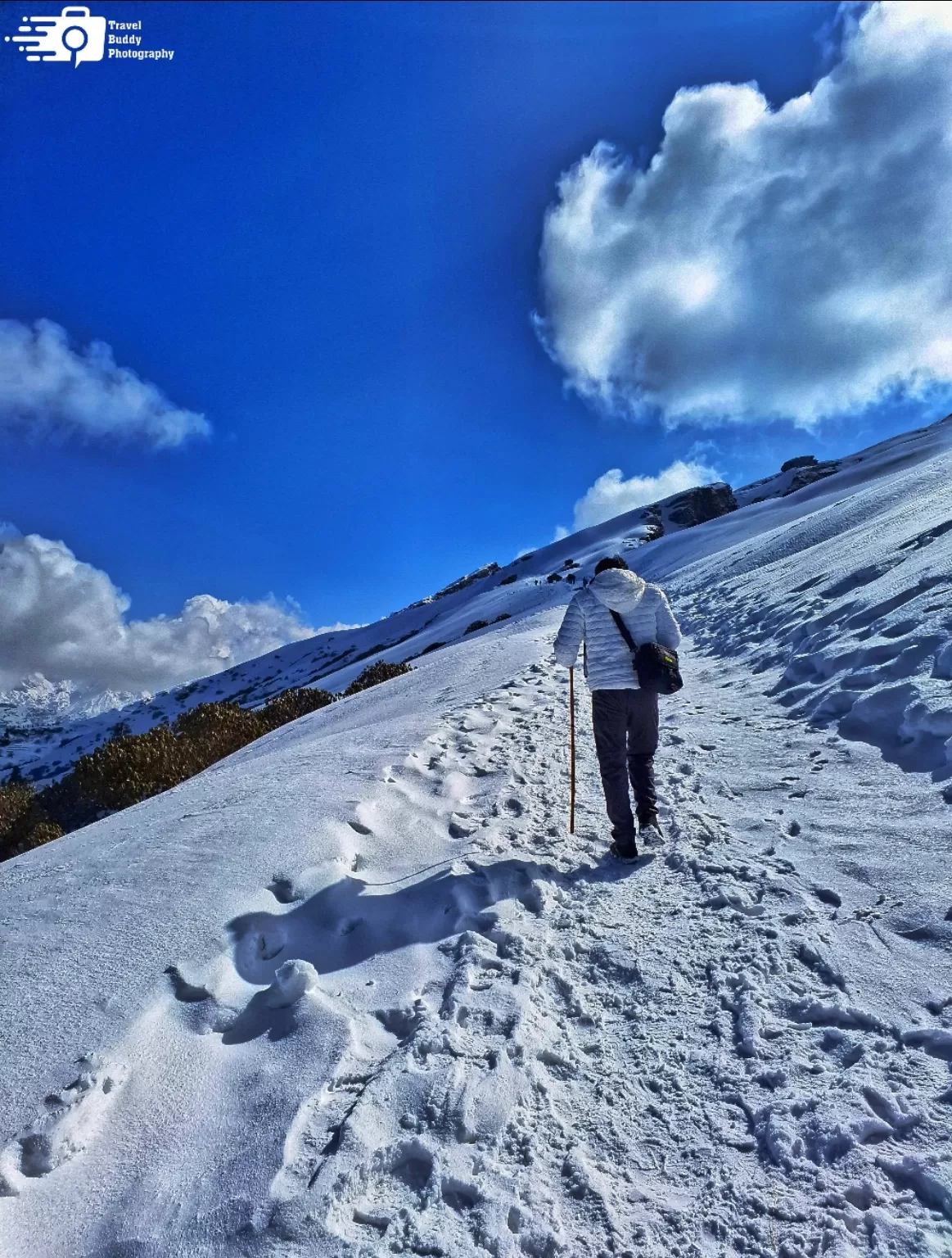 Photo of Chopta Valley By Ankit Tyagi