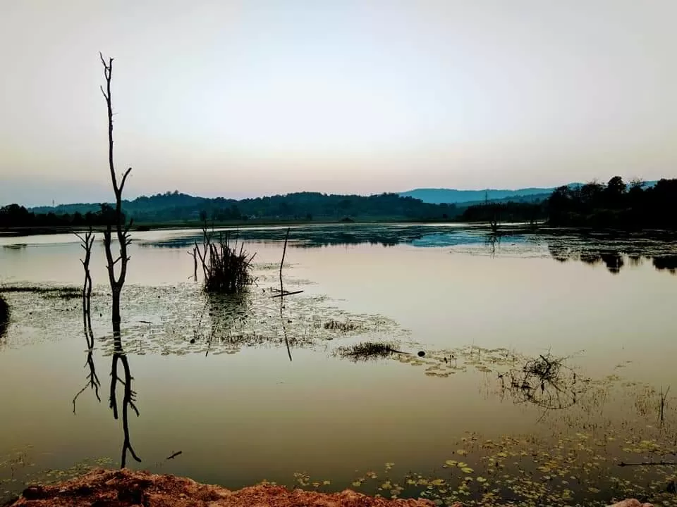 Photo of Mandagadde Bird View Tree House By Kiran MK