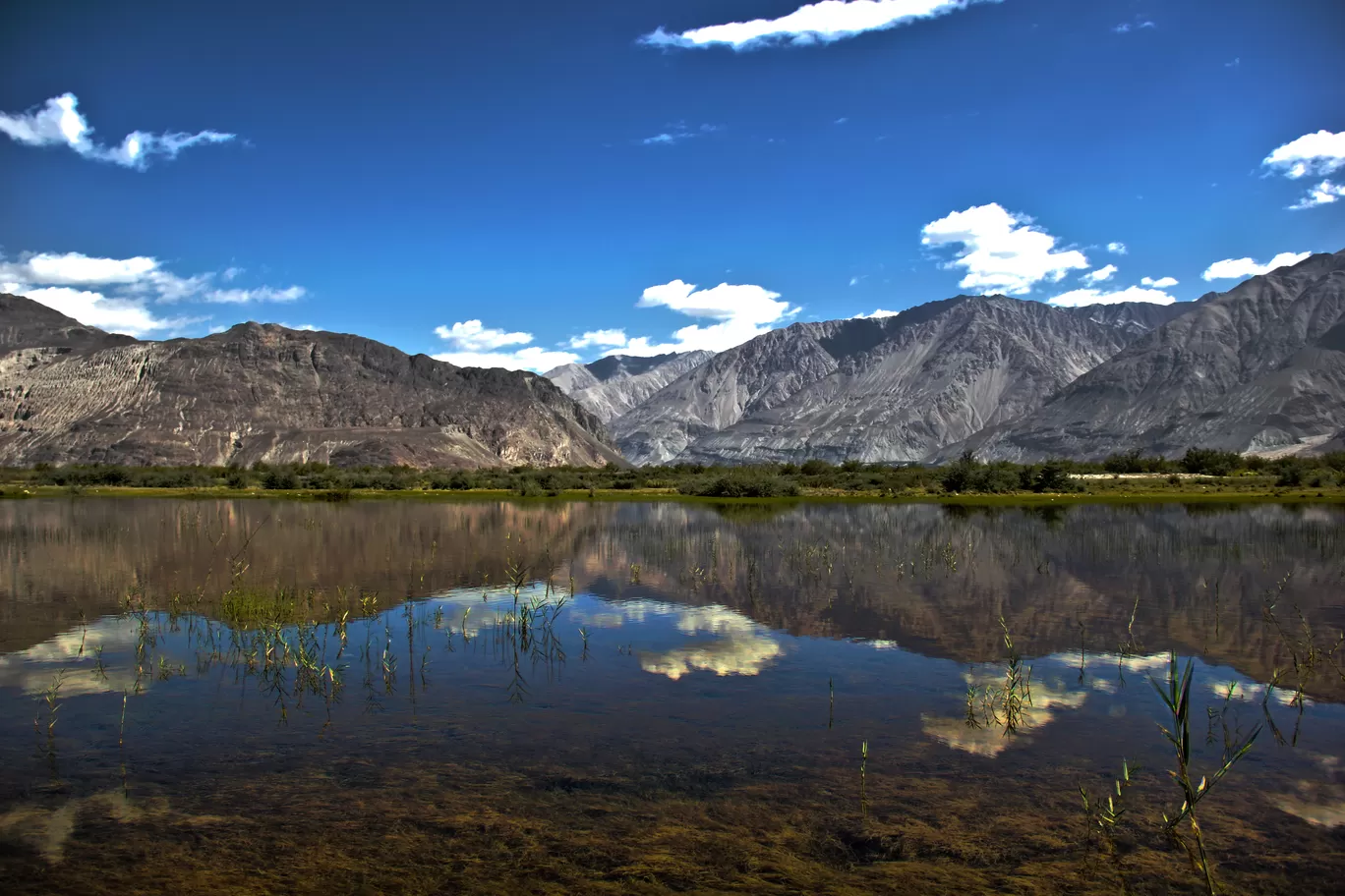 Photo of Ladakh By Sandhya Gawde