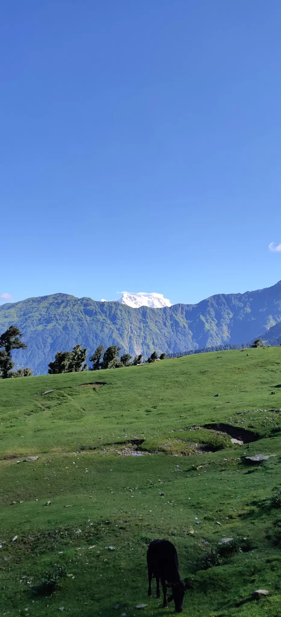 Photo of Tungnath By Tushar Naik