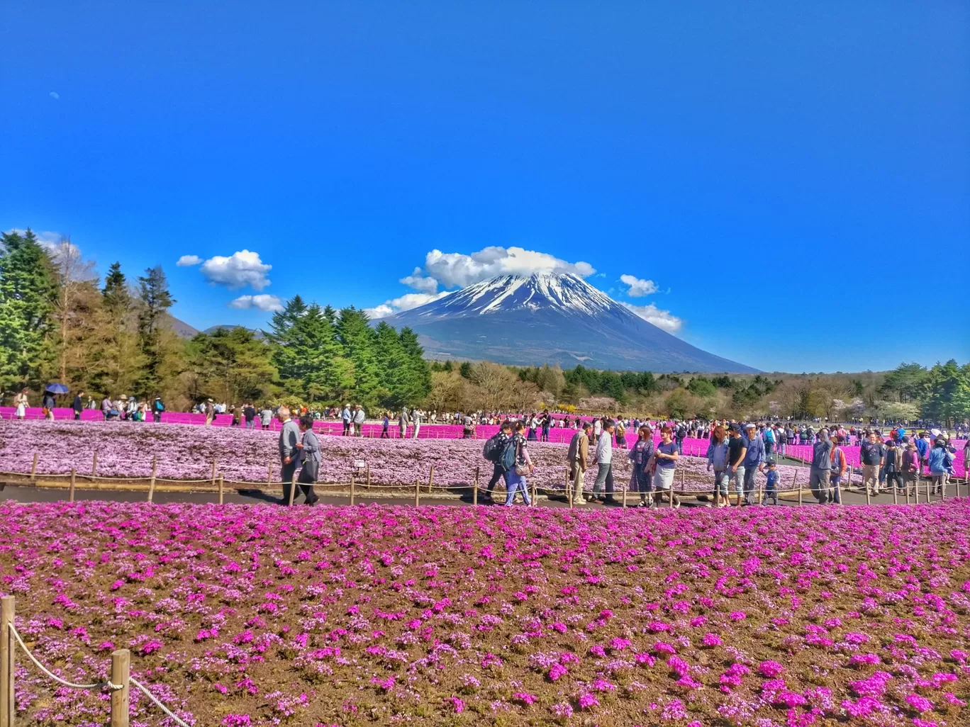 Photo of Mount Fuji By Wander_with_hakunamatata