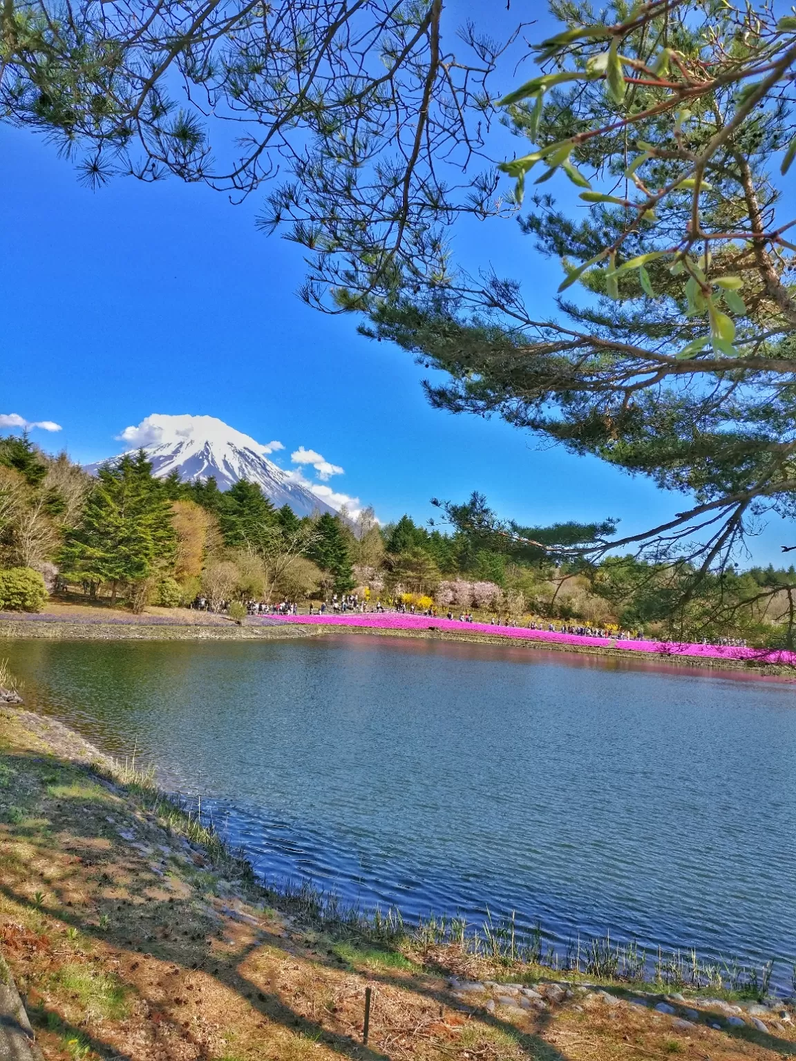 Photo of Mount Fuji By Wander_with_hakunamatata