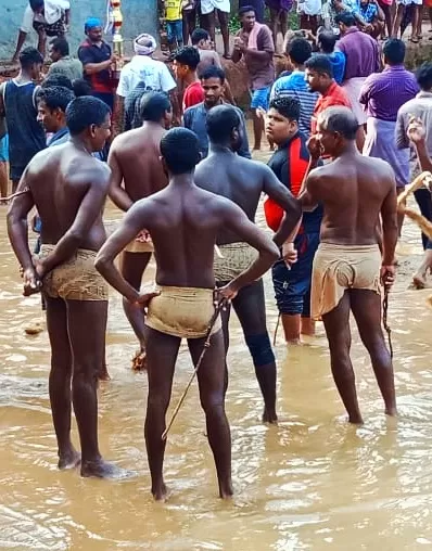 Photo of Pottachira By Nooshin Jawahar