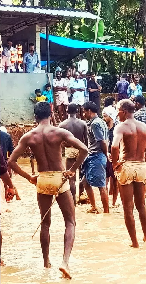 Photo of Pottachira By Nooshin Jawahar