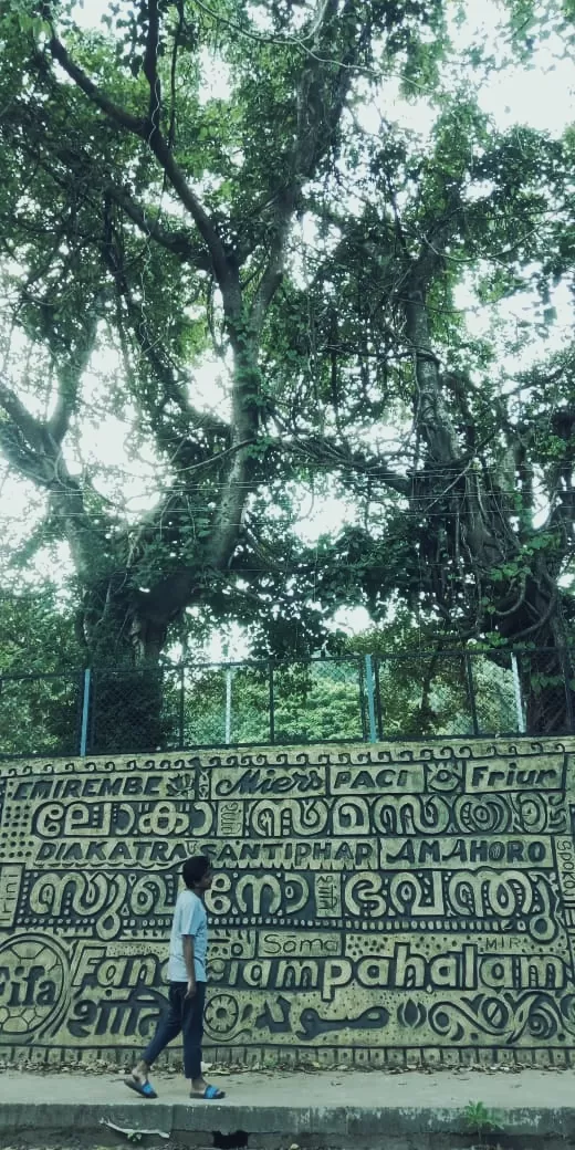 Photo of Pottachira By Nooshin Jawahar