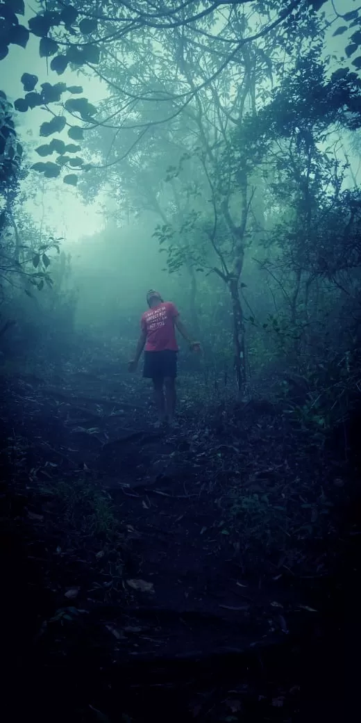 Photo of Kodaikanal By Nooshin Jawahar