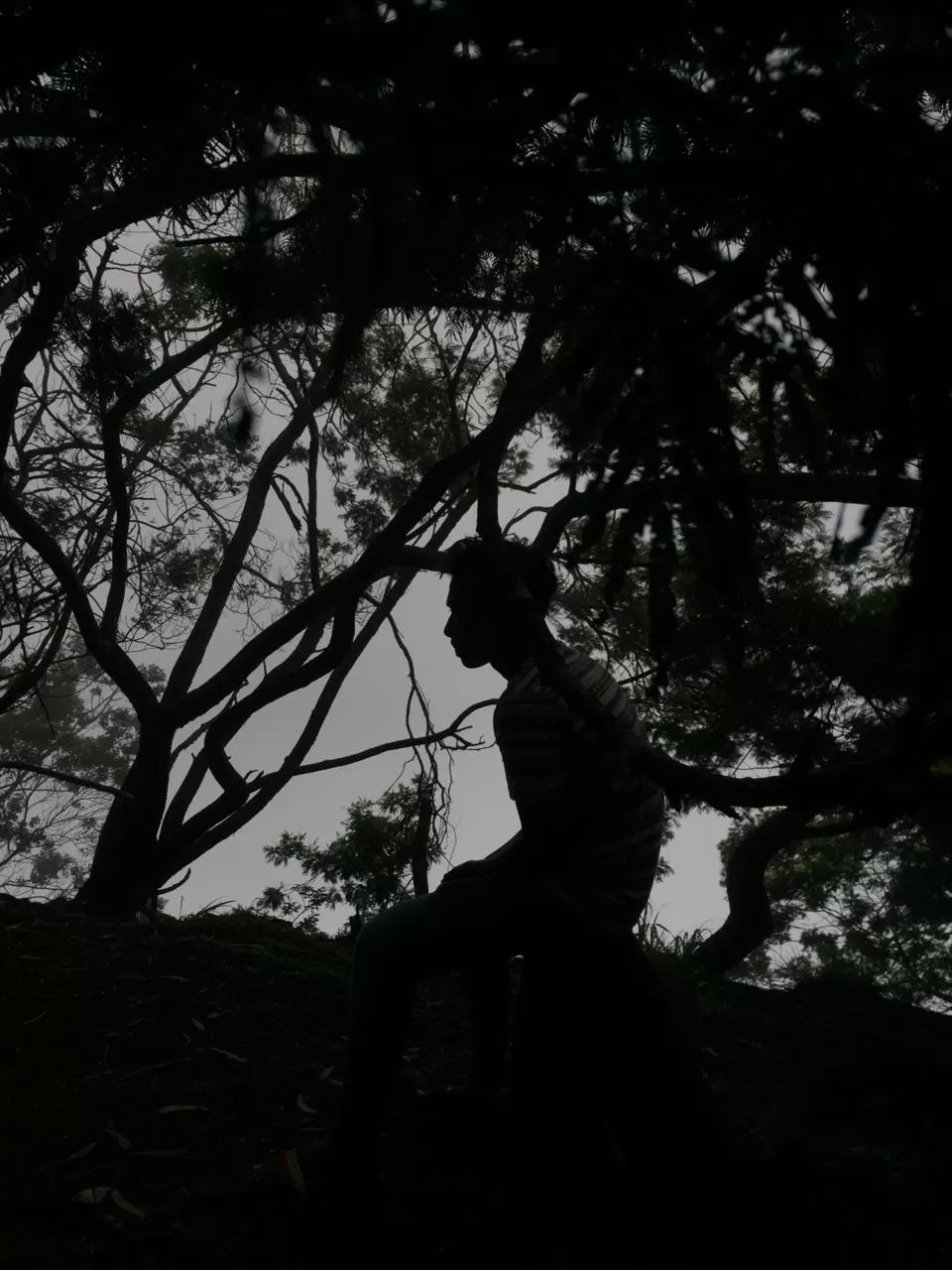 Photo of Kodaikanal By Nooshin Jawahar