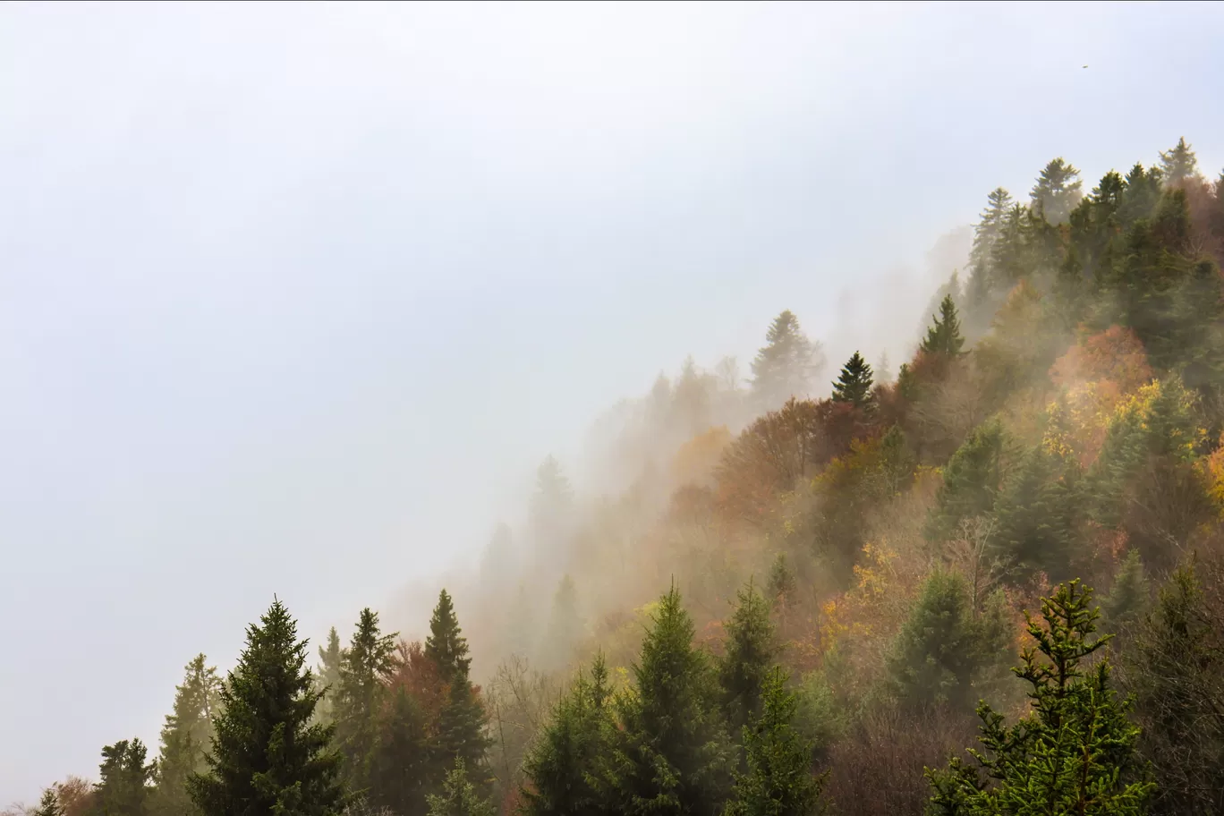 Photo of Interlaken By Vedang Deodhar