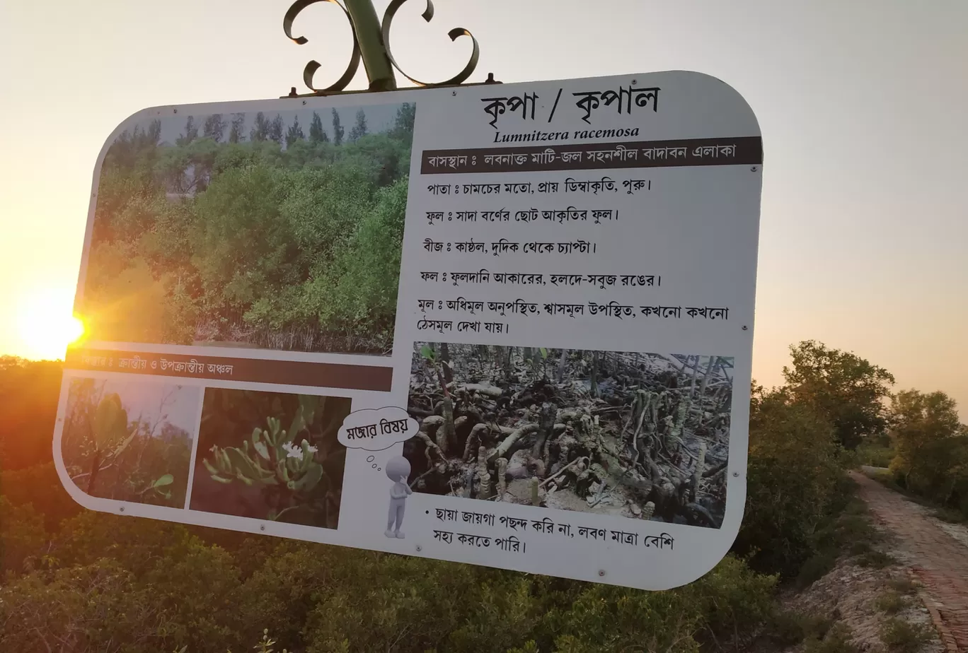 Photo of Bakkhali Sea Beach By Milan Biswas