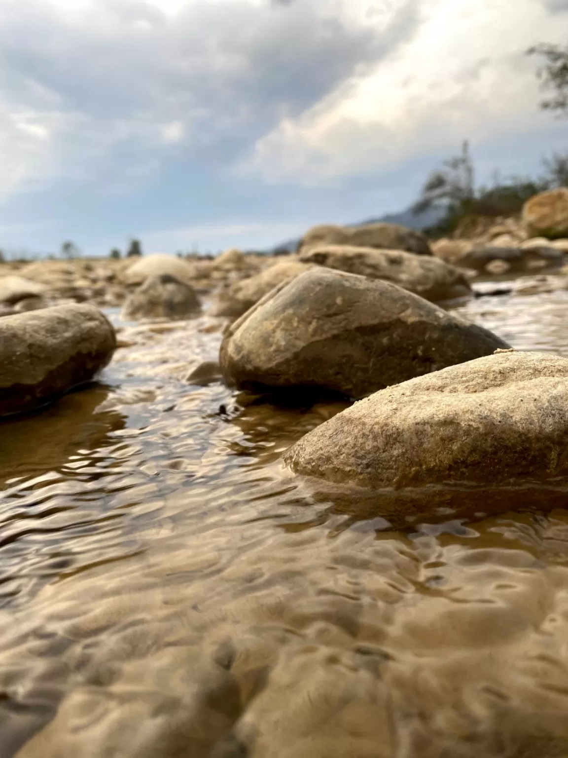 Photo of Jim Corbett National Park By Ankur 