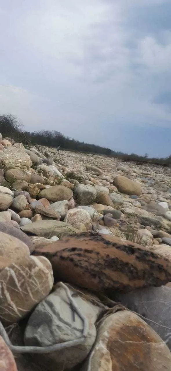 Photo of Jim Corbett National Park By Ankur 