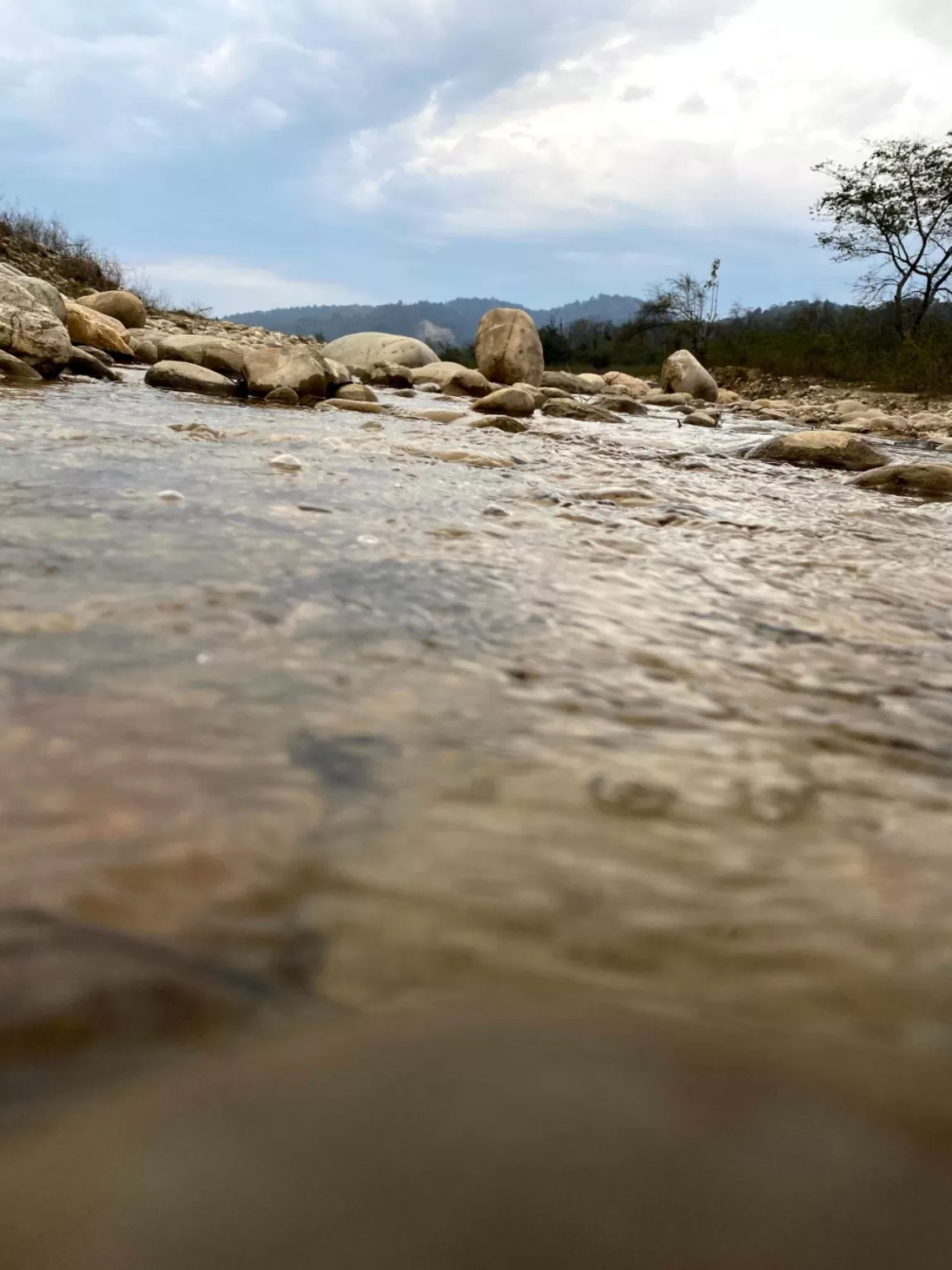 Photo of Jim Corbett National Park By Ankur 