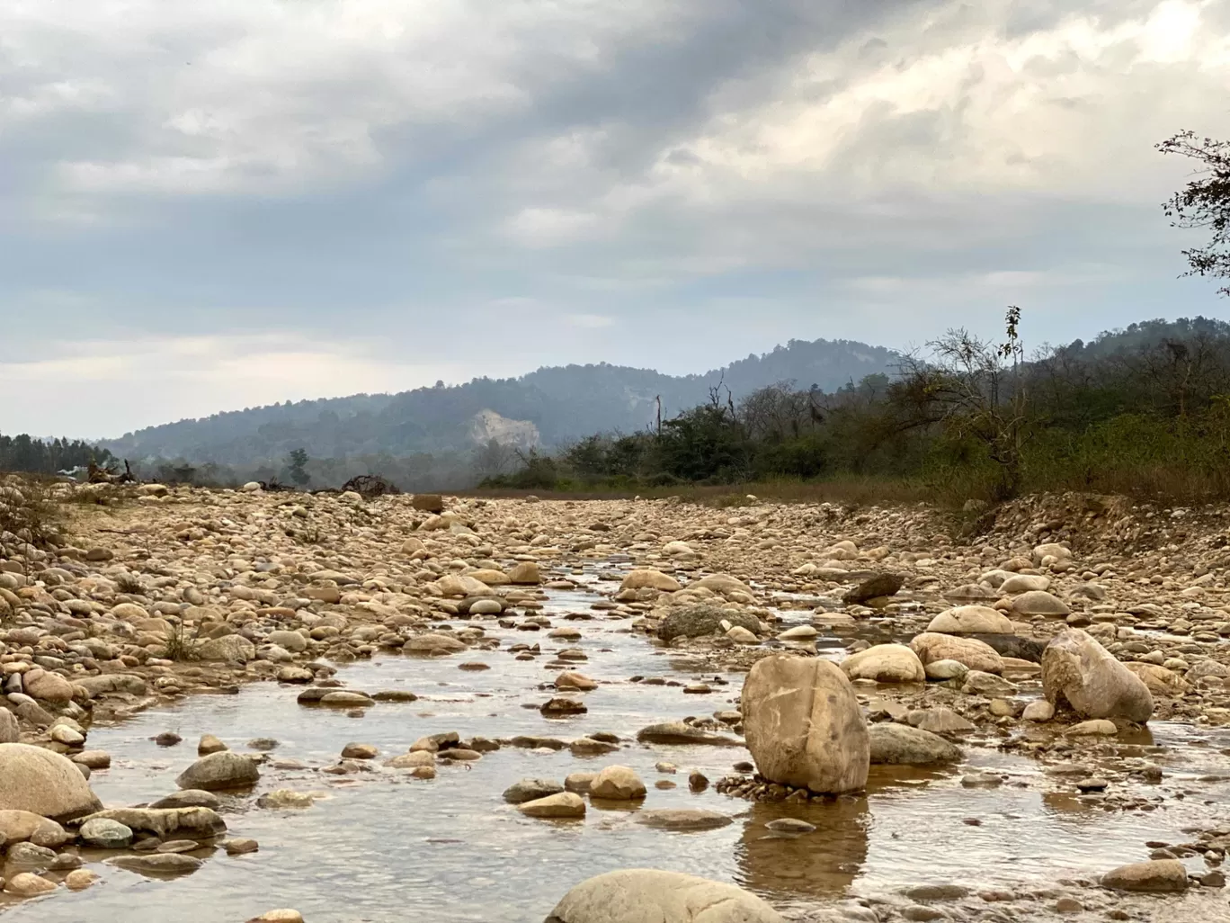 Photo of Jim Corbett National Park By Ankur 