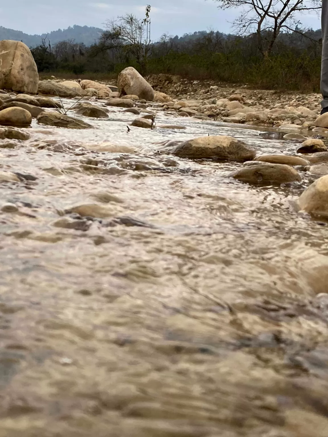 Photo of Jim Corbett National Park By Ankur 