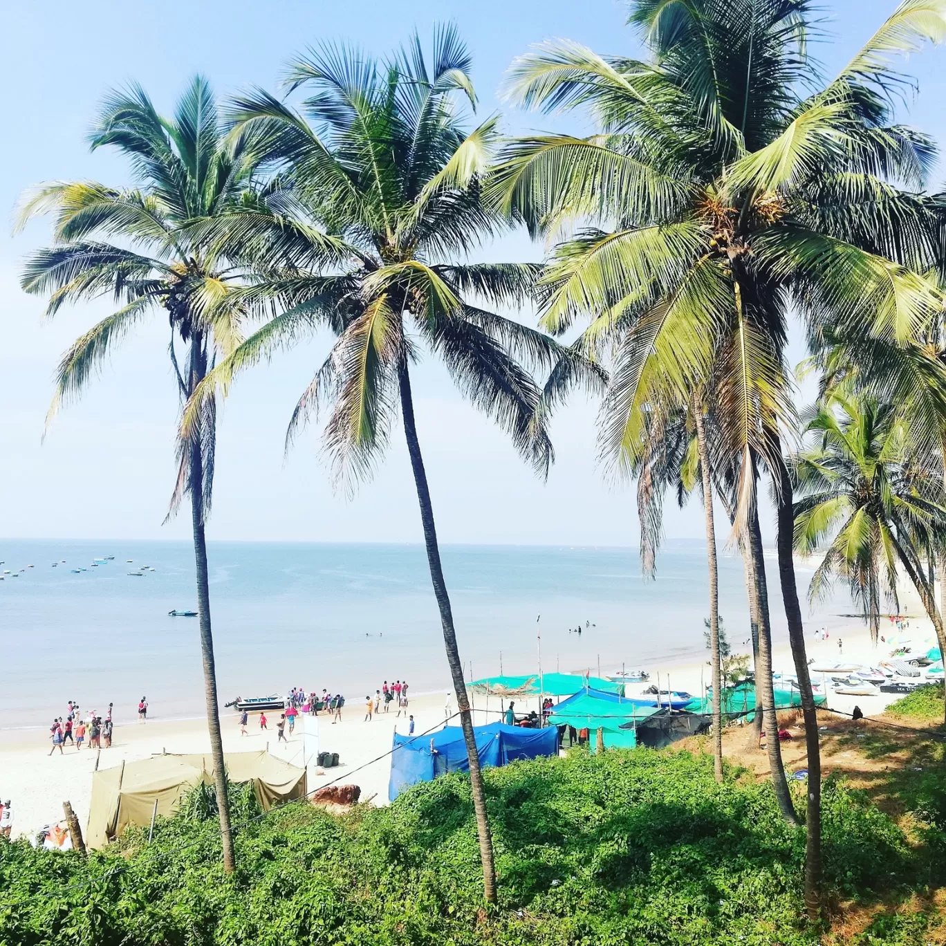 Photo of Goa By Ankur 