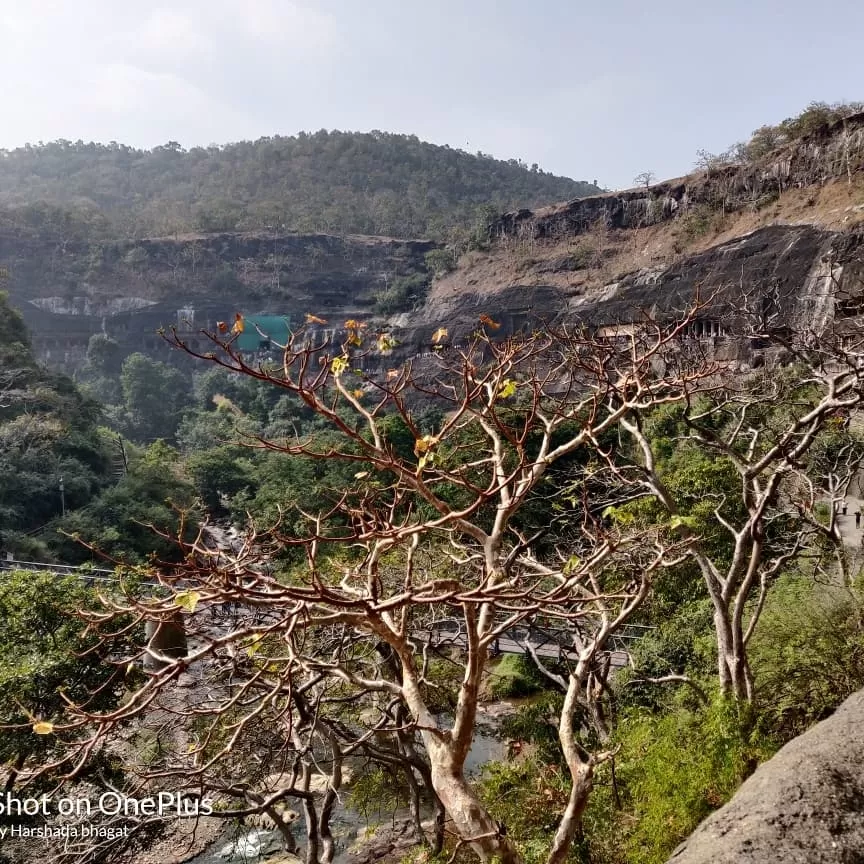 Photo of Ajanta Caves By Sonal