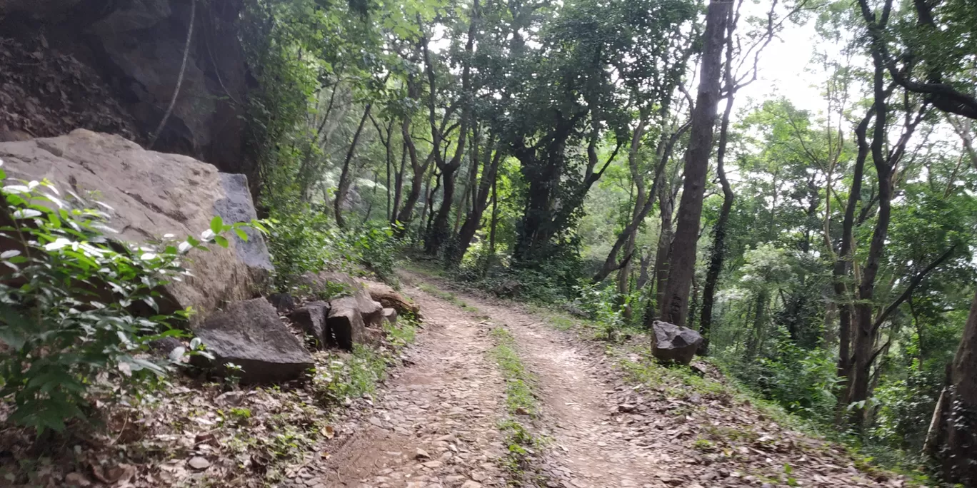 Photo of Silent Valley National Park By Rahul Sivadas