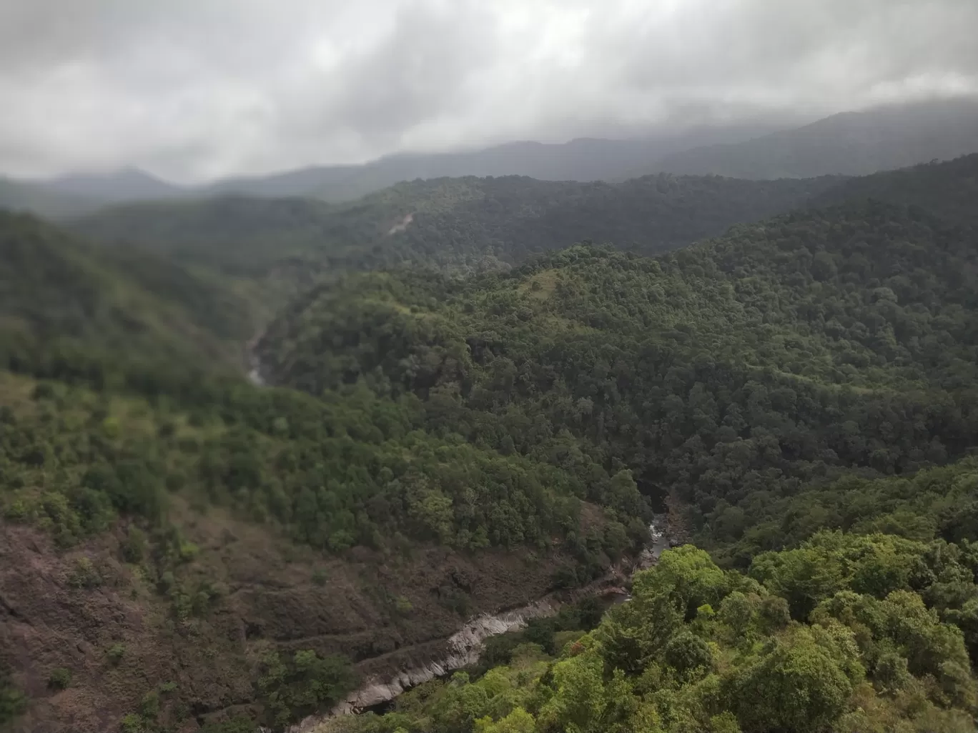 Photo of Silent Valley National Park By Rahul Sivadas