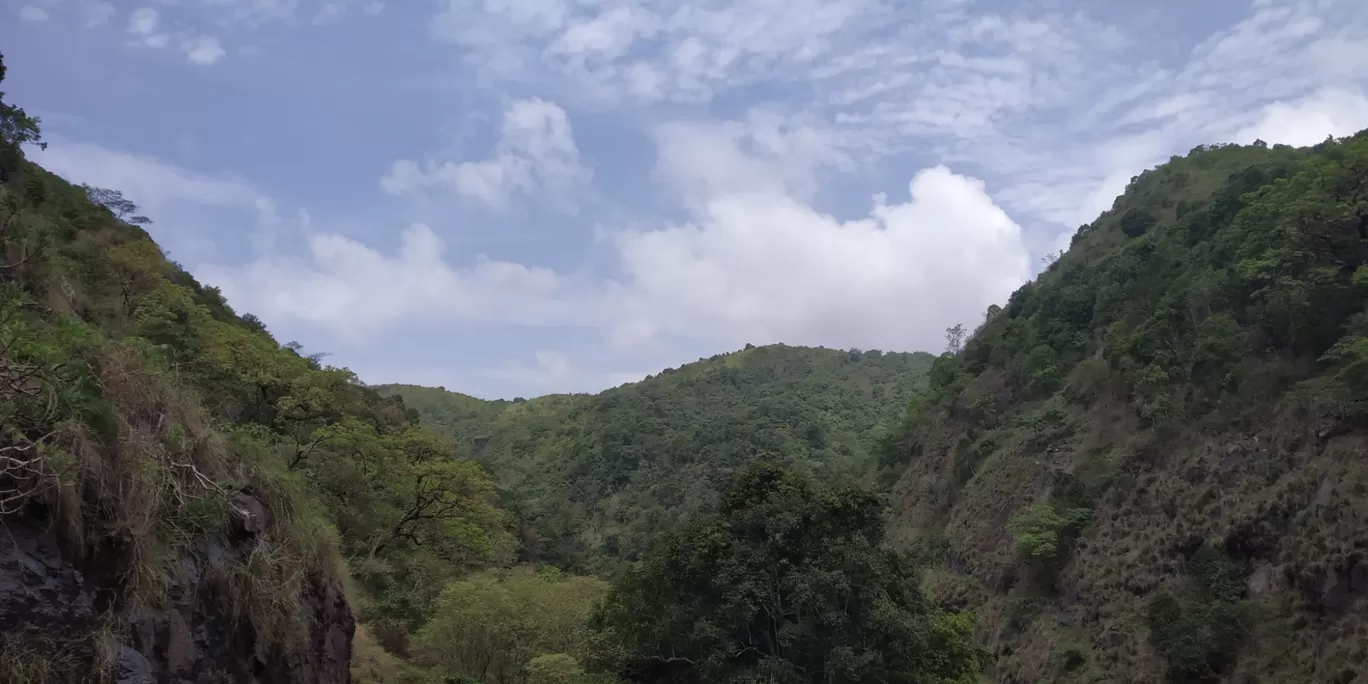 Photo of Silent Valley National Park By Rahul Sivadas