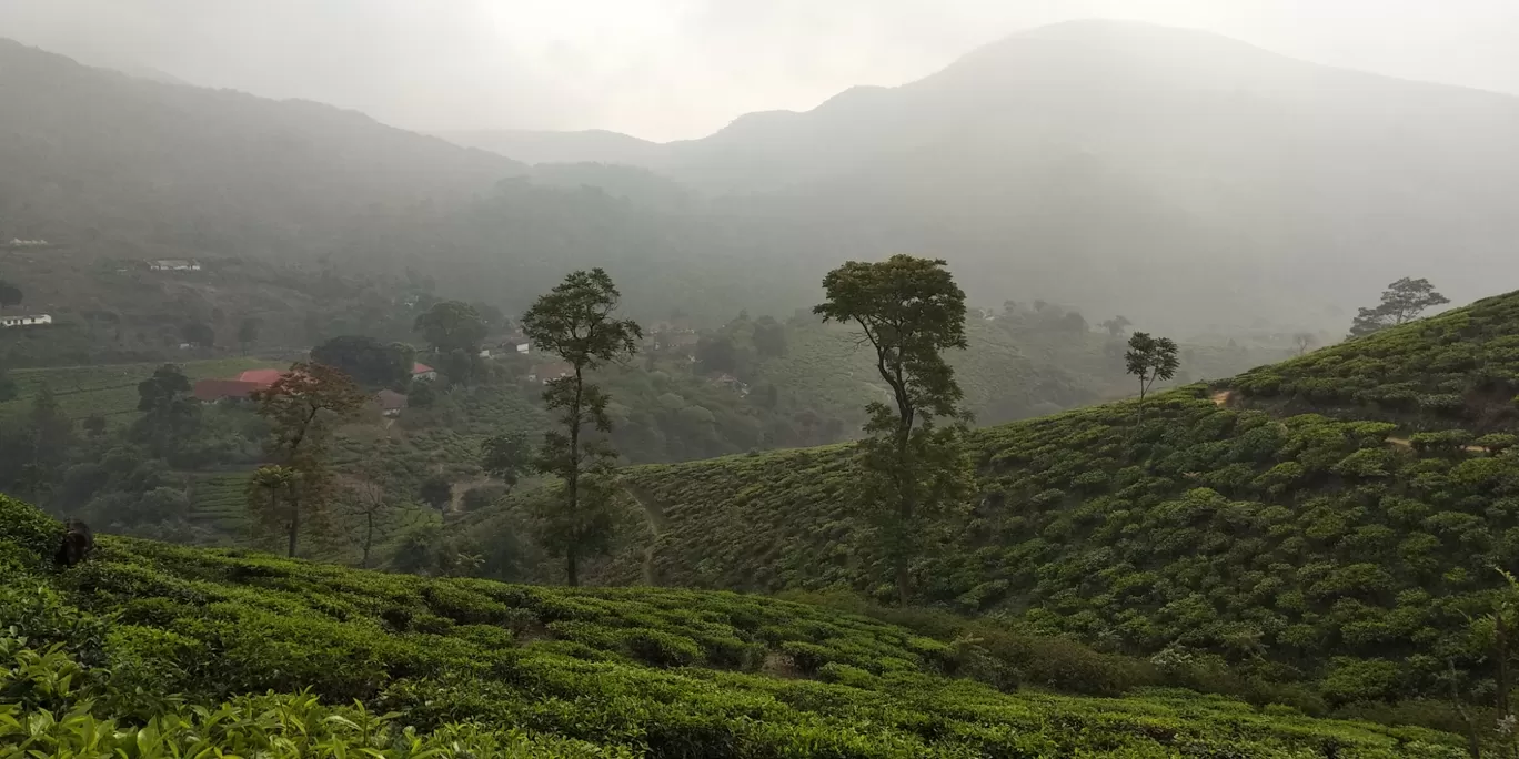 Photo of Anchuruli Tunnel By Rahul Sivadas