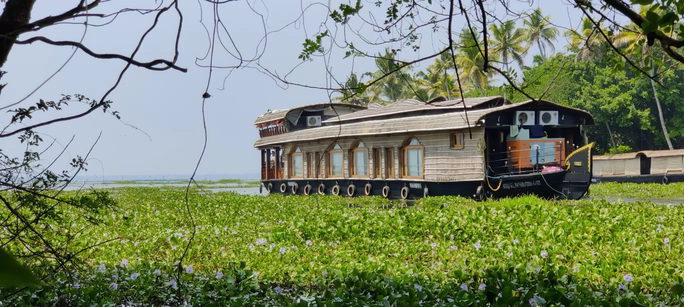 Photo of Kumarakom Bird Sanctuary Observatory Tower By Rahul Sivadas